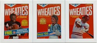 Trio of Sports Superstars Signed Wheaties Cereal Box Covers Incl. Walter Payton, Chris Evert and Pete Rose – All Framed (BAS)