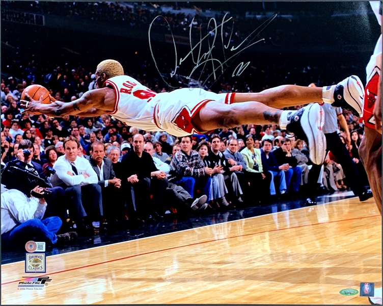 Dennis Rodman Signed 16 x 20 Photo Diving Out of Bounds for The Chicago Bulls (BAS)