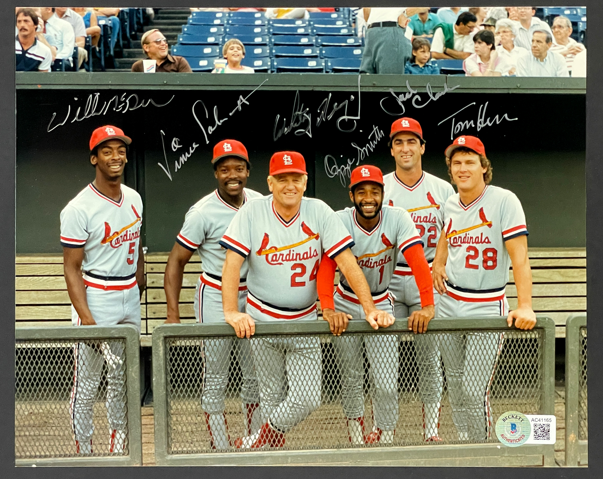 Vince Coleman Photo St. Louis Cardinals 8x10