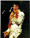 1974 and 1975 Elvis Presley Souvenir Posters (2)