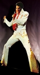 1973 Die-Cut Record Store Standee for Elvis Presley’s Aloha from Hawaii Min. Bid $100